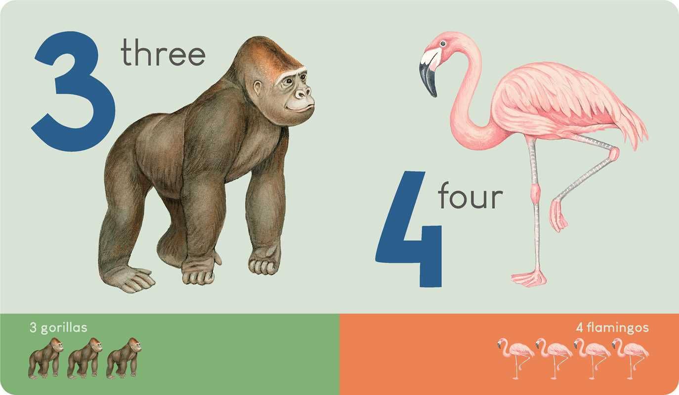 Carry Me: Animal Numbers Book