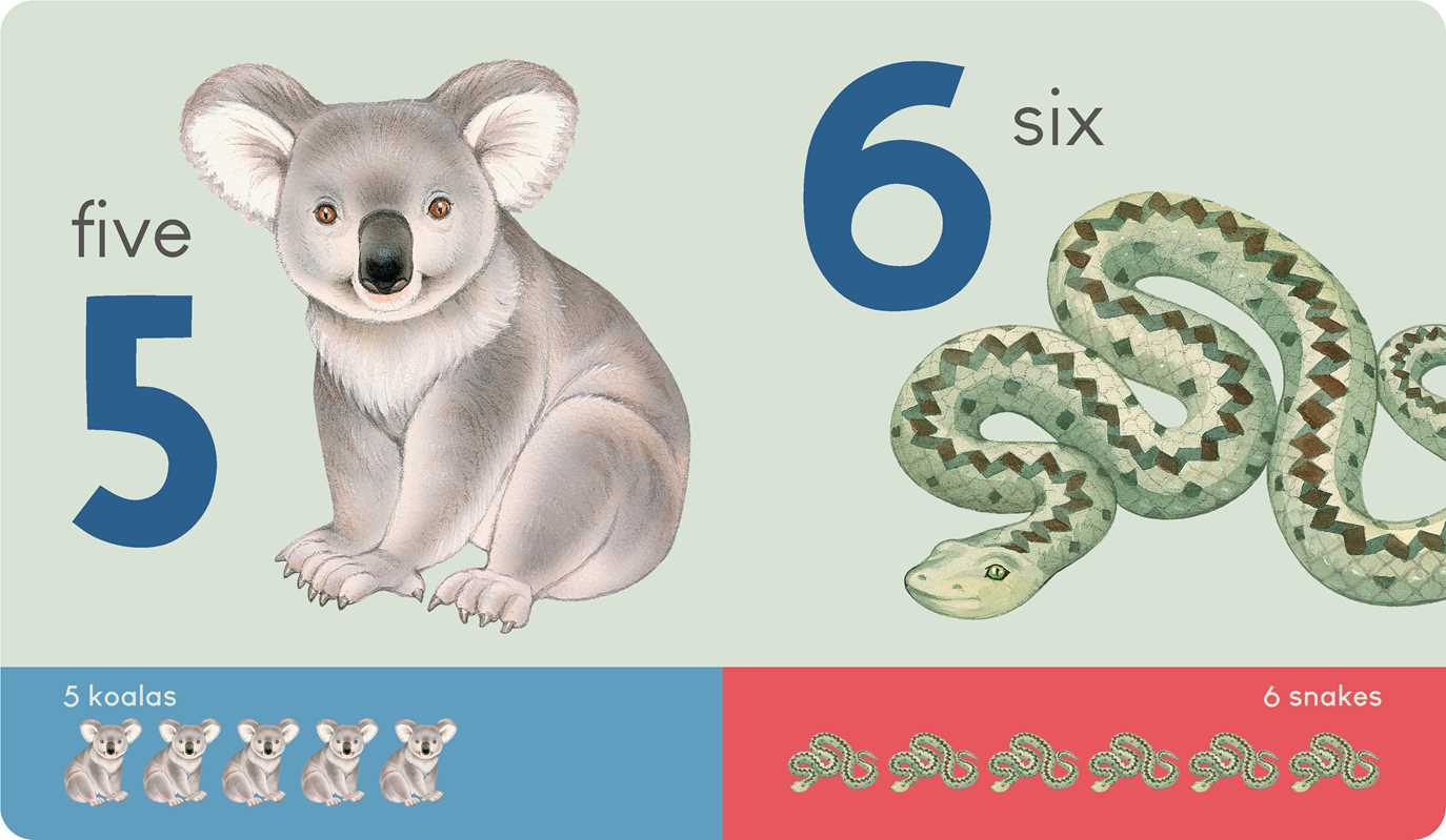 Carry Me: Animal Numbers Book