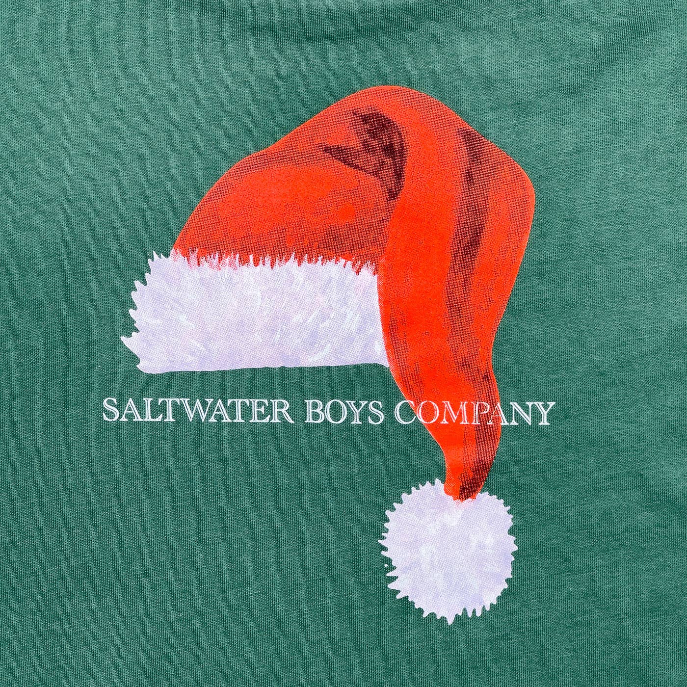 Boys Santa Hat graphic tee LS