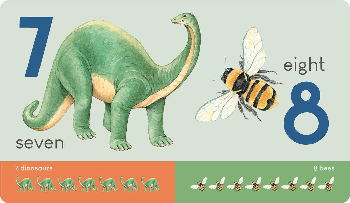 Carry Me: Animal Numbers Book