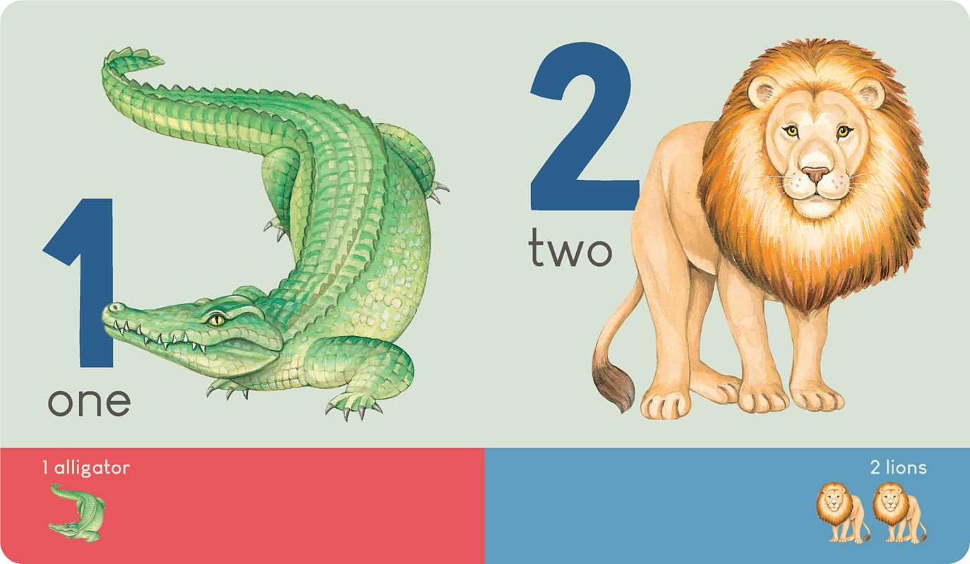 Carry Me: Animal Numbers Book